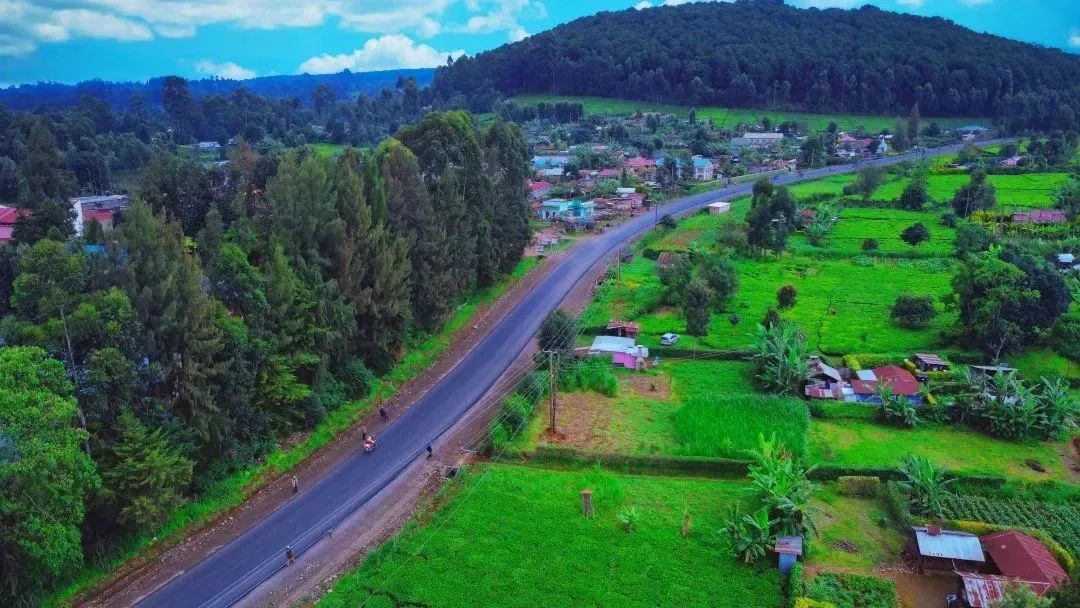 1691747774643282.jpg 1691747774643282.jpg