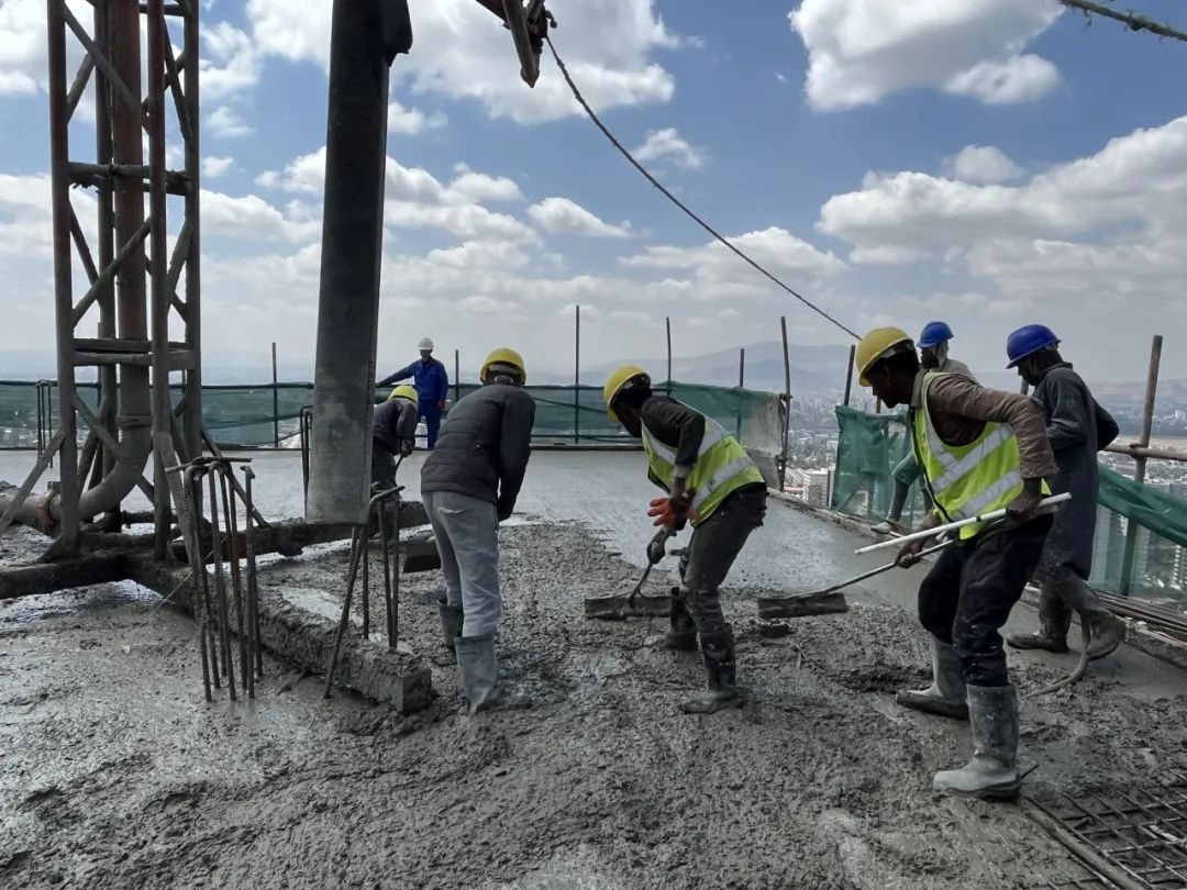 1709788881331861.jpg 1709788881331861.jpg