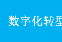 《關(guān)于加快推進(jìn)國(guó)有企業(yè)數(shù)字化轉(zhuǎn)型工作的通知》系列解讀之一：總體篇