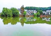 探尋鄉(xiāng)村振興的實踐密碼