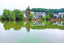 探尋鄉(xiāng)村振興的實踐密碼