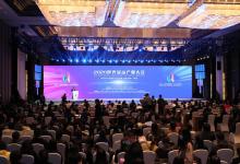 2020世界顯示產(chǎn)業(yè)大會(huì)在合肥召開