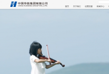 中國(guó)華能：融入發(fā)展新格局 做堅(jiān)定的數(shù)字化轉(zhuǎn)型踐行者