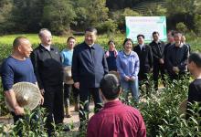 習近平察看武夷山春茶長勢：把茶文化、茶產(chǎn)業(yè)、茶科技這篇文章做好
