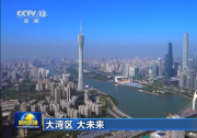 從“世界工廠”走向“世界灣區(qū)” 大灣區(qū)超級供應(yīng)鏈上線！
