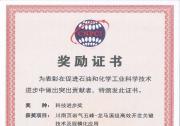 中國科學(xué)院力學(xué)研究所等共同申報的項目榮獲中國石油和化工自動化行業(yè)科技進(jìn)步二等獎