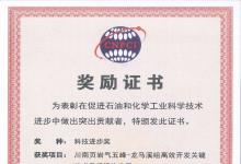 中國科學院力學研究所等共同申報的項目榮獲中國石油和化工自動化行業(yè)科技進步二等獎