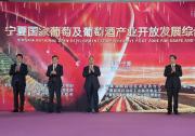 寧夏國家葡萄及葡萄酒產(chǎn)業(yè)開放發(fā)展綜合試驗區(qū)建設(shè)啟動