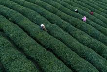 湖北日?qǐng)?bào)報(bào)道：到2025年，脫貧地區(qū)特色產(chǎn)業(yè)實(shí)現(xiàn)“從有到優(yōu)”轉(zhuǎn)變