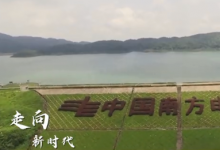 橫琴粵澳深度合作區(qū)電網(wǎng)實(shí)現(xiàn)“自愈”全覆蓋