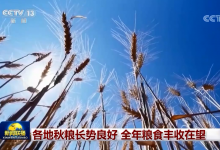 多國加快農(nóng)業(yè)數(shù)字化轉(zhuǎn)型