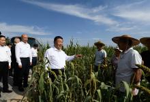 習(xí)近平：加快農(nóng)業(yè)農(nóng)村現(xiàn)代化 讓廣大農(nóng)民生活芝麻開(kāi)花節(jié)節(jié)高