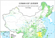 李克強(qiáng)對(duì)森林草原防滅火工作作出重要批示