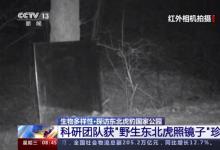 自然保護領域天地空一體化實時監(jiān)測系統(tǒng)?