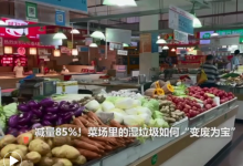 減量85%！菜場里的濕垃圾如何“變廢為寶”