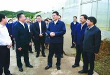 國家工信部部長肖亞慶來南充調研 羅文朱家德參加調研 劉強古正舉陪同