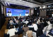 張建春：中國企業(yè)既是對外經濟合作的市場主體，也是中華文化的生動載體