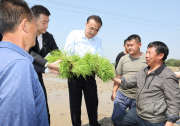 李克強對防汛抗旱工作作出重要批示|自動化網解讀防汛抗旱與自動化科技