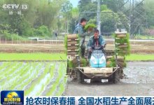 農(nóng)業(yè)高質(zhì)量發(fā)展與自動化科技|《高標準農(nóng)田建設(shè)通則》、柳河縣3500畝水稻育秧 
