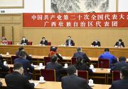 習(xí)近平：心往一處想勁往一處使推動中華民族偉大復(fù)興號巨輪乘風(fēng)破浪揚帆遠航 |習(xí)近平參加黨的二十大廣西代表團討論