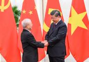 習近平同越共中央總書記阮富仲舉行會談|習近平：中越兩黨要堅持為人民謀幸福、為人類謀進步