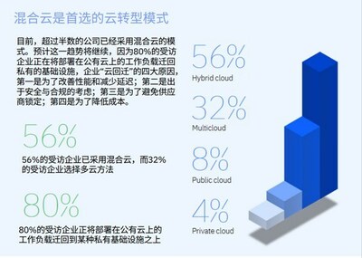 摘自《IBM企業(yè)轉(zhuǎn)型指數(shù)：云現(xiàn)狀》2022年研究報告