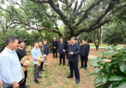 習近平：農(nóng)村特色產(chǎn)業(yè)前景廣闊