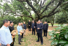 習近平：農(nóng)村特色產(chǎn)業(yè)前景廣闊