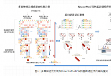 生物信息學(xué)|清華大學(xué)自動化系汪小我團(tuán)隊合作提出自動歸納基因調(diào)控序列編碼模式的神經(jīng)網(wǎng)絡(luò)解釋方法