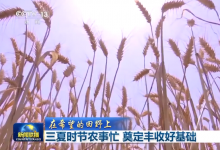 央視網(wǎng)：三夏時(shí)節(jié)農(nóng)事忙 奠定豐收好基礎(chǔ)|自動(dòng)化科技賦能無(wú)人收割機(jī)、智慧農(nóng)業(yè)平臺(tái)