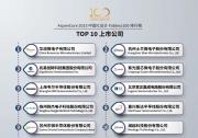 2023 中國(guó)IC設(shè)計(jì)100 排行榜