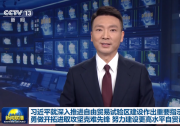 習(xí)近平就深入推進(jìn)自由貿(mào)易試驗(yàn)區(qū)建設(shè)作出重要指示強(qiáng)調(diào)：勇做開拓進(jìn)取攻堅(jiān)克難先鋒 努力建設(shè)更高水平自貿(mào)試驗(yàn)區(qū)