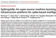 Science Advances | 自動(dòng)化所與北京大學(xué)合作開(kāi)源深度脈沖神經(jīng)網(wǎng)絡(luò)學(xué)習(xí)框架SpikingJelly CASIA 中國(guó)科學(xué)院自動(dòng)化研究所 