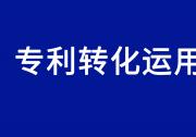 國(guó)務(wù)院辦公廳關(guān)于印發(fā)《專利轉(zhuǎn)化運(yùn)用專項(xiàng)行動(dòng)方案（2023—2025年）》的通知