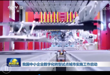 我國中小企業(yè)數(shù)字化轉(zhuǎn)型試點(diǎn)城市實(shí)施工作啟動