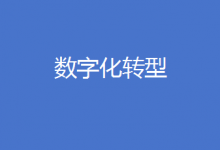 北京：這類企業(yè)數(shù)字化轉(zhuǎn)型，最高可獲100萬元補助