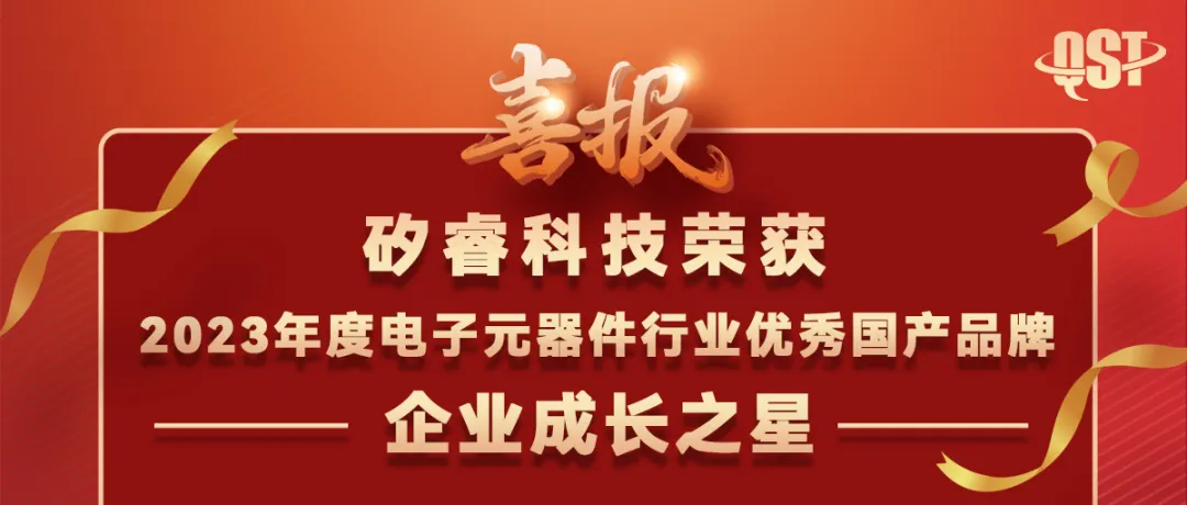 矽睿科技榮獲2023年度電子元器件行業(yè)優(yōu)秀國(guó)產(chǎn)品牌企業(yè)成長(zhǎng)之星