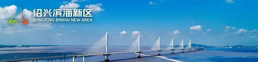 “濱海硅谷”何以勇立潮頭？