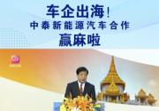 智佳能自動(dòng)化倉儲(chǔ)物流整線出海成功！