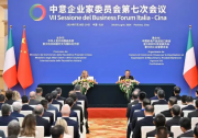 三安光電應邀出席中意企業(yè)家委員會第七次會議開幕式