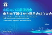 中國(guó)電力發(fā)展促進(jìn)會(huì)電力電子器件專業(yè)委員會(huì)成立大會(huì)在寧召開(kāi)