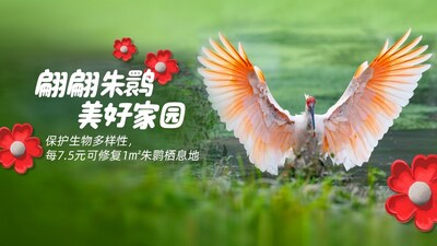 菲仕蘭發(fā)起“翩翩朱鹮，美好家園”一塊走的活動