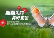 久久公益節(jié)，菲仕蘭發(fā)起捐步活動(dòng)守護(hù)朱鹮家園