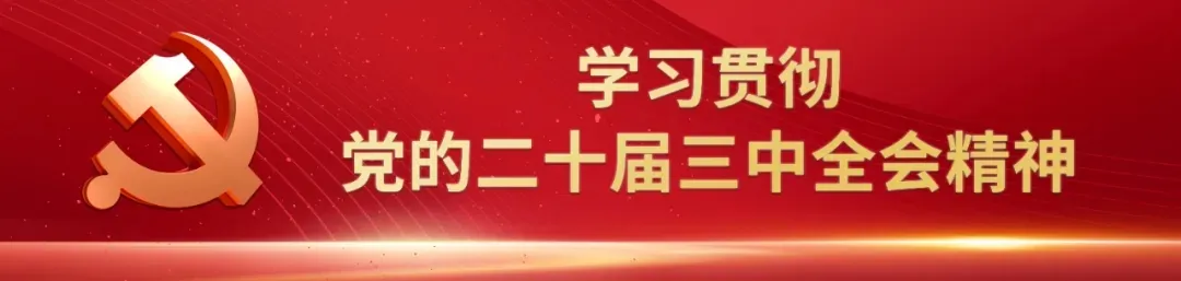 加快推進(jìn)新型工業(yè)化——訪工業(yè)和信息化部黨組書記、部長金壯龍