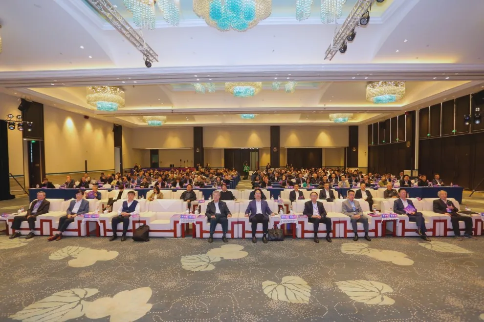 2024第十屆中國創(chuàng)新設(shè)計(jì)大會(huì)暨中國創(chuàng)新設(shè)計(jì)產(chǎn)業(yè)戰(zhàn)略聯(lián)盟成立十周年大會(huì)在嘉善成功舉行