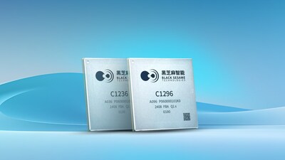 武當(dāng)C1200家族芯片