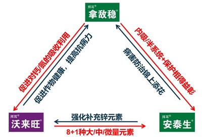 拜耳拿沃安?的協(xié)同增效機(jī)理