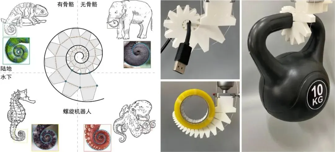 新型螺旋機(jī)器人，讓“科幻走進(jìn)現(xiàn)實(shí)”
