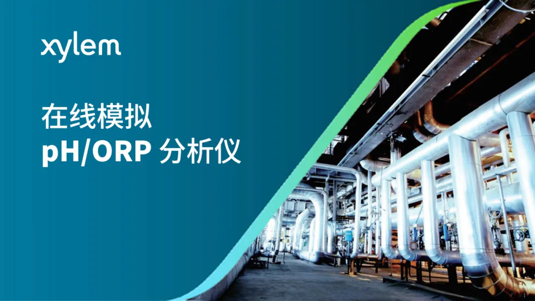 賽萊默在線模擬 pH/ORP 分析儀增添新成員