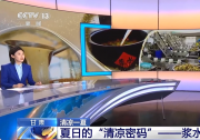 解暑消夏的“清涼密碼”  |甘肅省級(jí)非物質(zhì)文化遺產(chǎn)代表性項(xiàng)目|自動(dòng)化科技賦能產(chǎn)業(yè)標(biāo)準(zhǔn)化